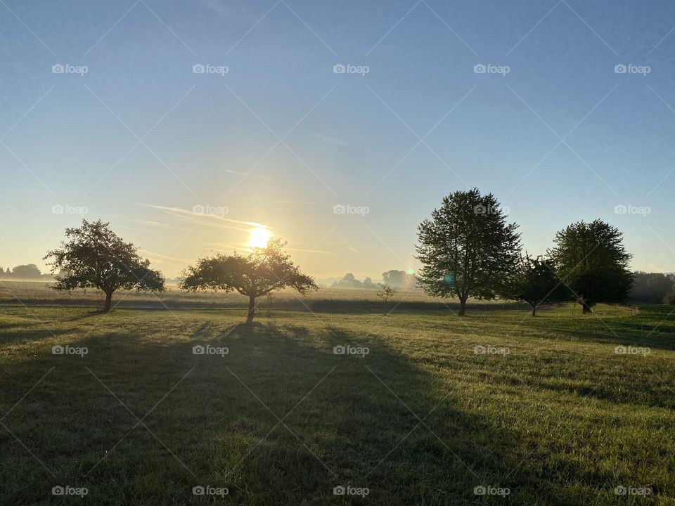 Morning walk in early autumn
