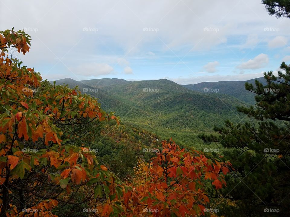 Appalachian Mountains trail in autumn season with leaves changing