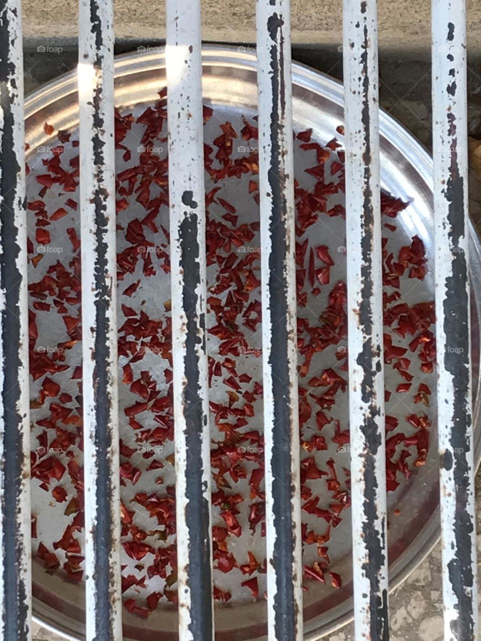 Looking closely, there are bars everywhere.