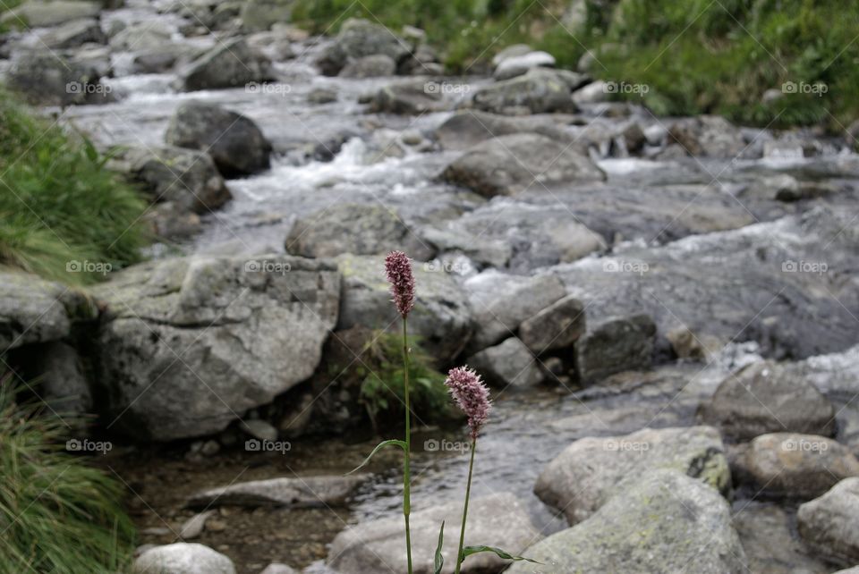 In the mountains, Slovakia