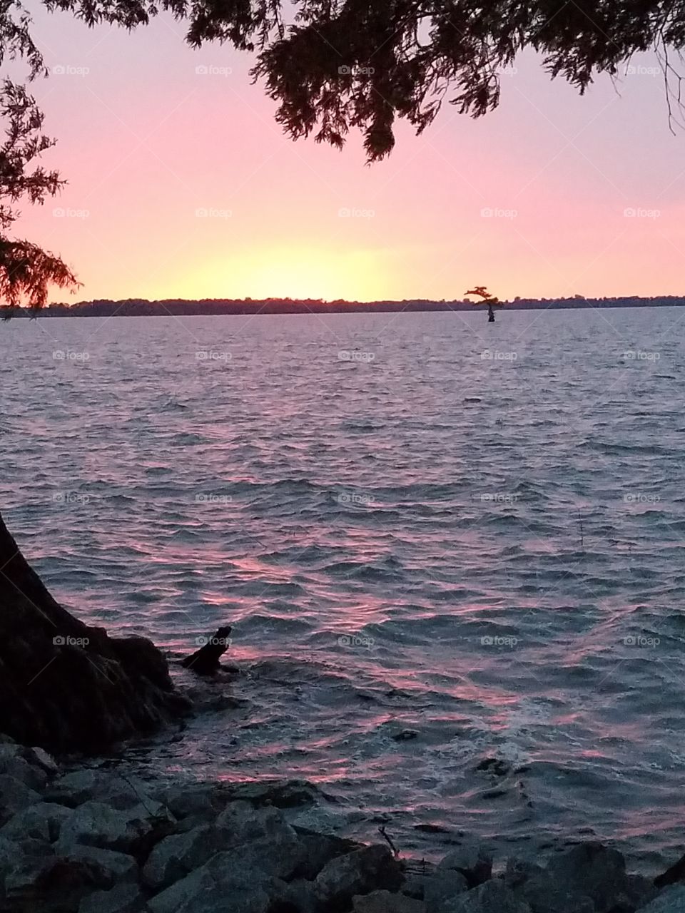 beautiful sunset on reelfoot lake in Tennessee