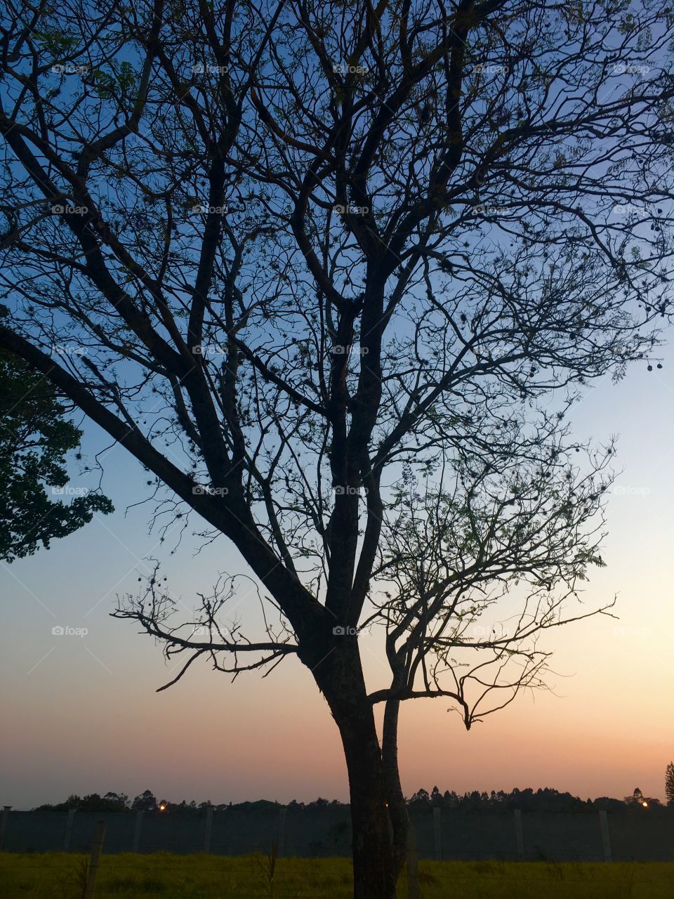 🌅Desperta, #Jundiaí!
Ótima 3a feira a todos.
🍃
#sol
#sun
#sky
#céu
#photo
#nature
#manhã
#morning
#alvorada
#natureza
#horizonte
#fotografia
#paisagem
#inspiração
#amanhecer
#mobgraphy
#FotografeiEmJundiaí