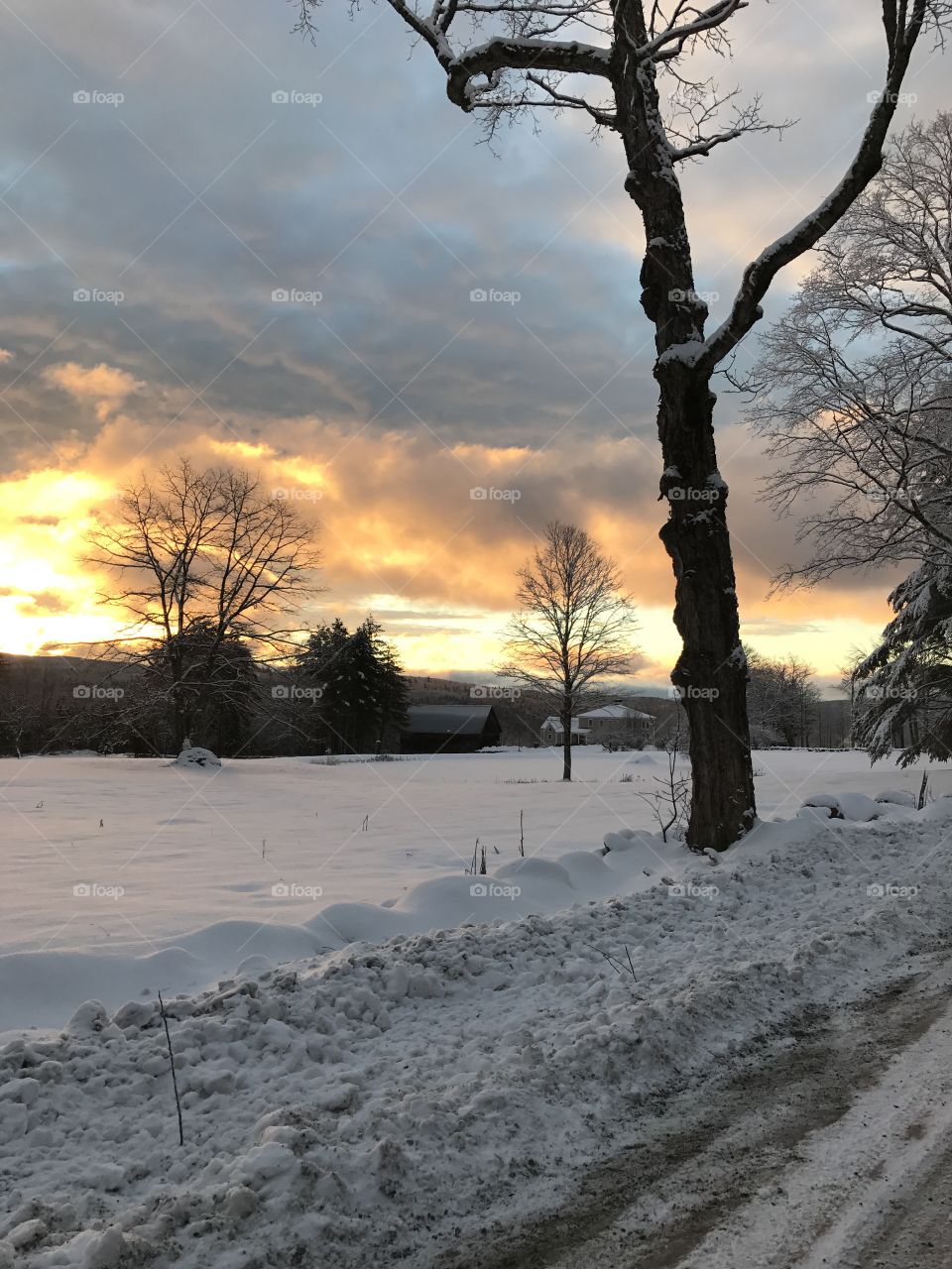 View of snowy landscape at sunset