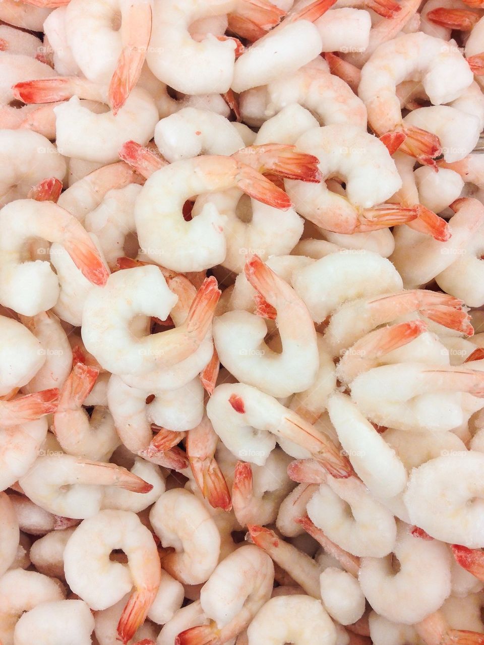 Shrimps