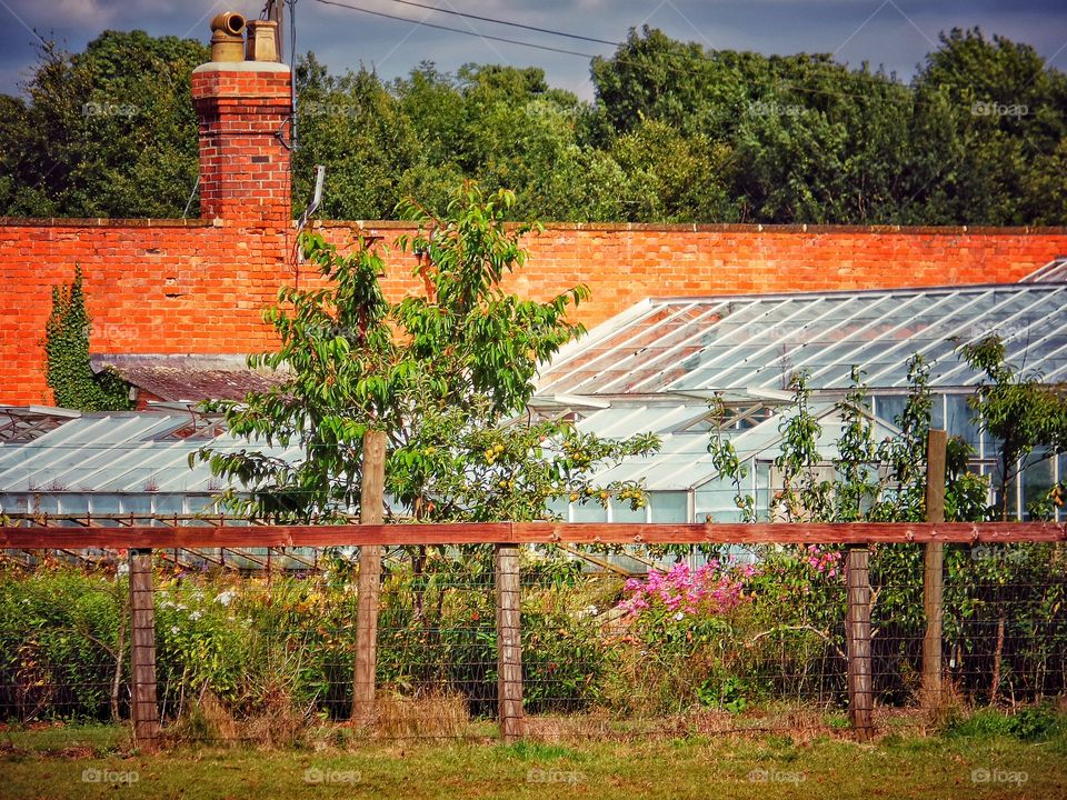 Farm. Greenhouses