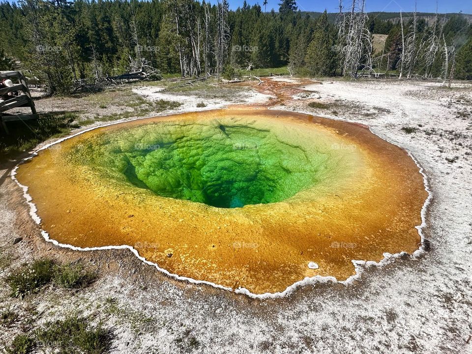 Morning Glory Pool 