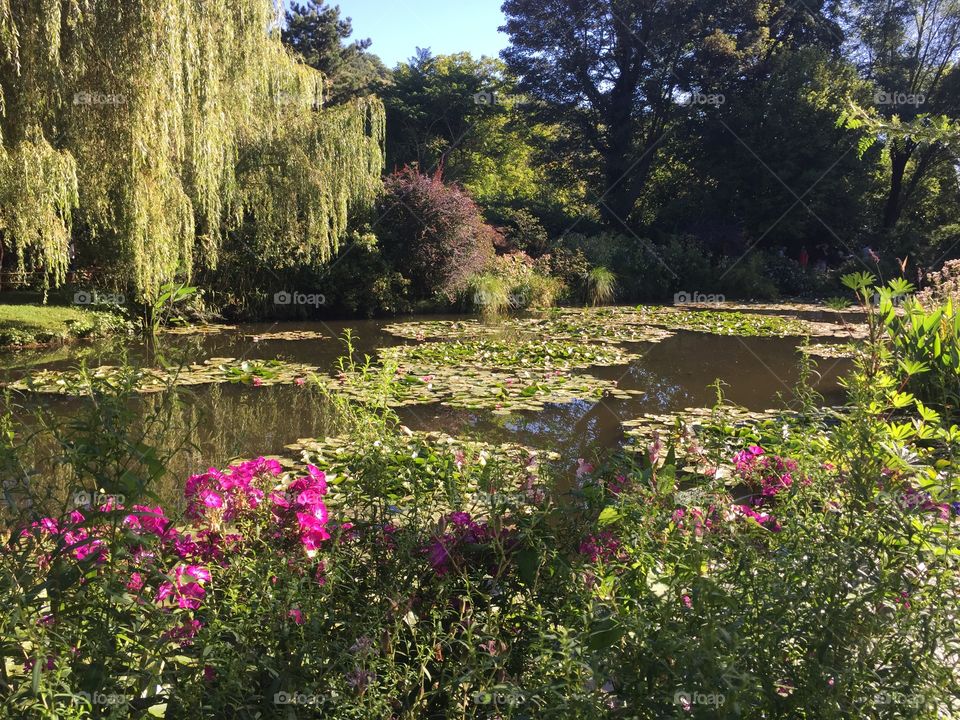 Monet's Lily Pond
Giverny, France