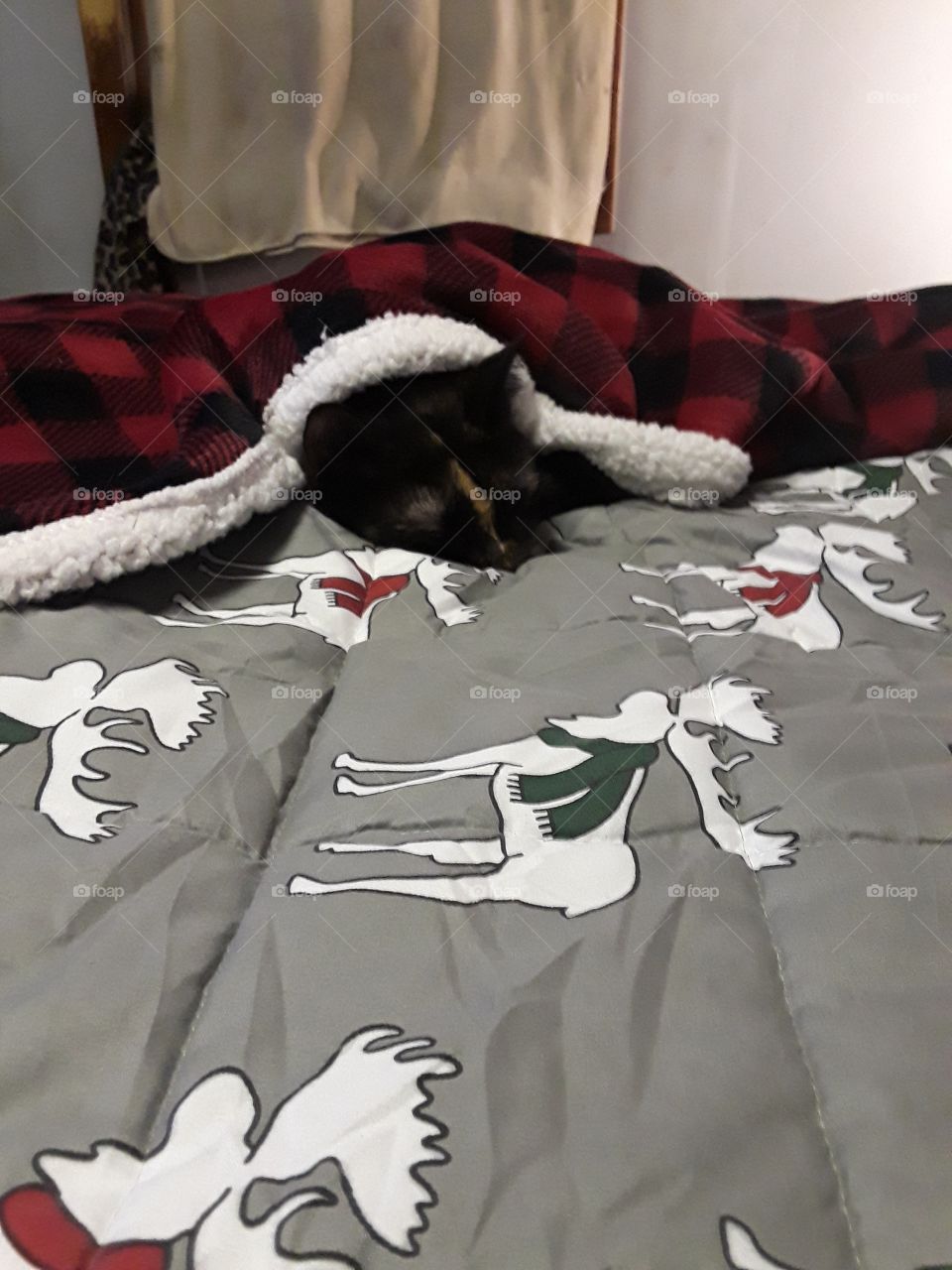 all tucked in