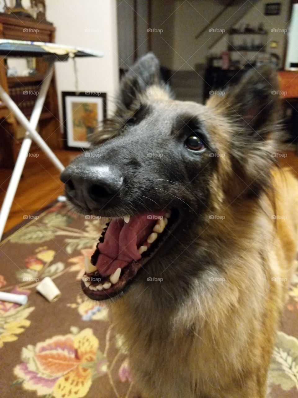 Almost Hollywood smile