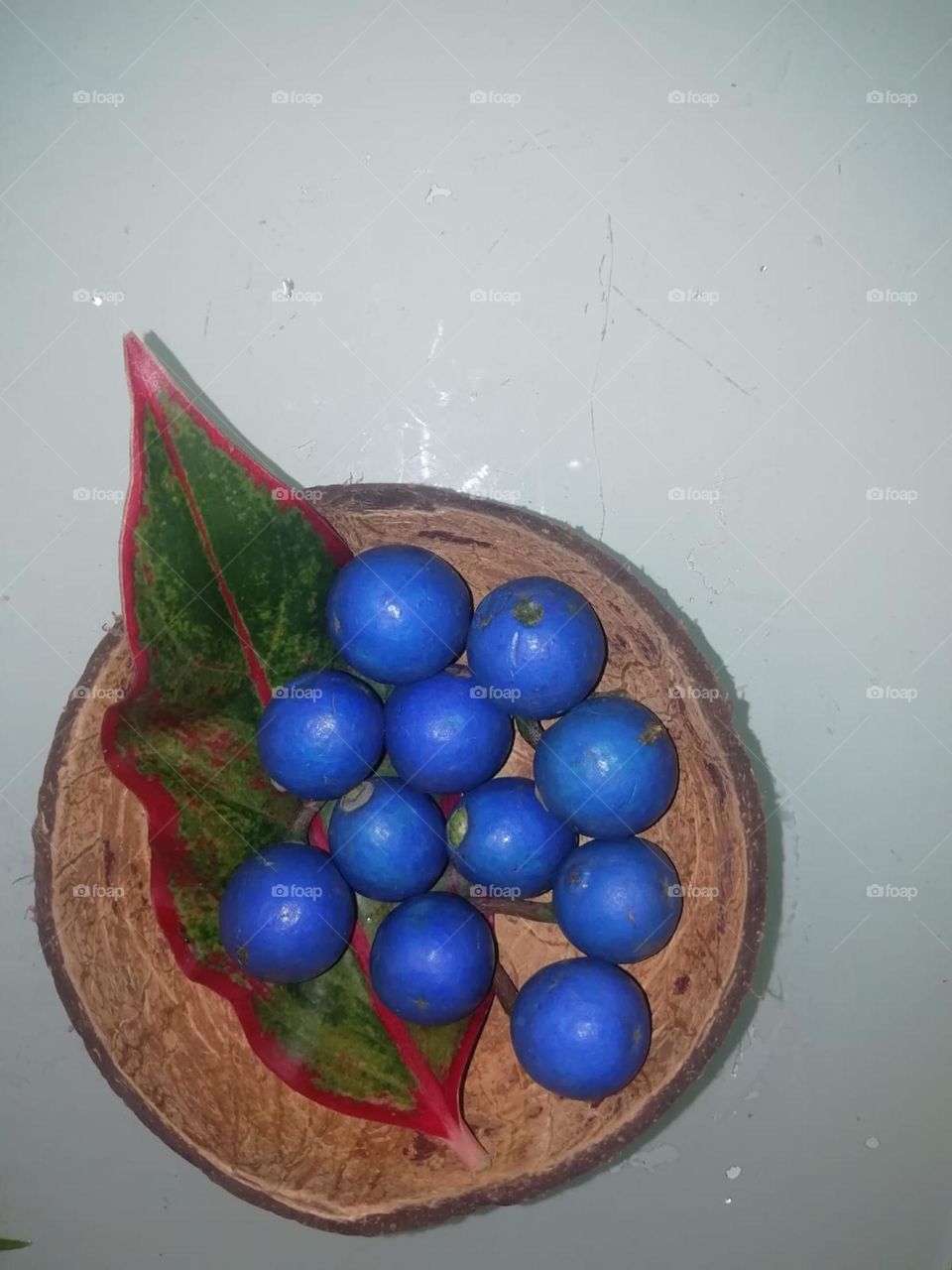 Blue Olives in a coconut shell