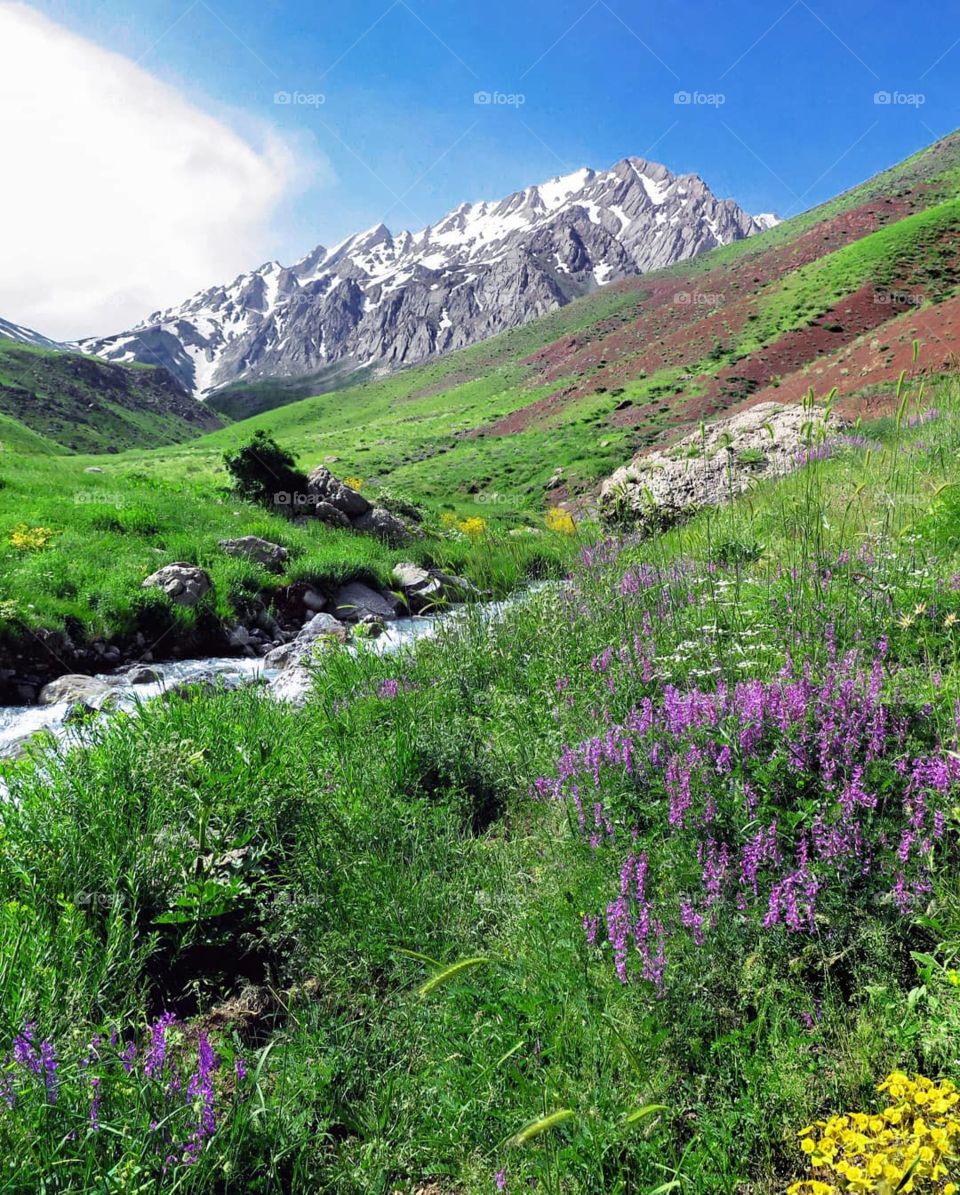 Iran, Nature, Lorestan