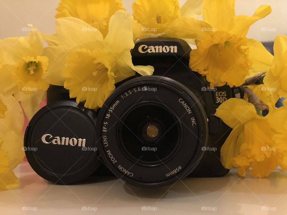 Canon in flowers 