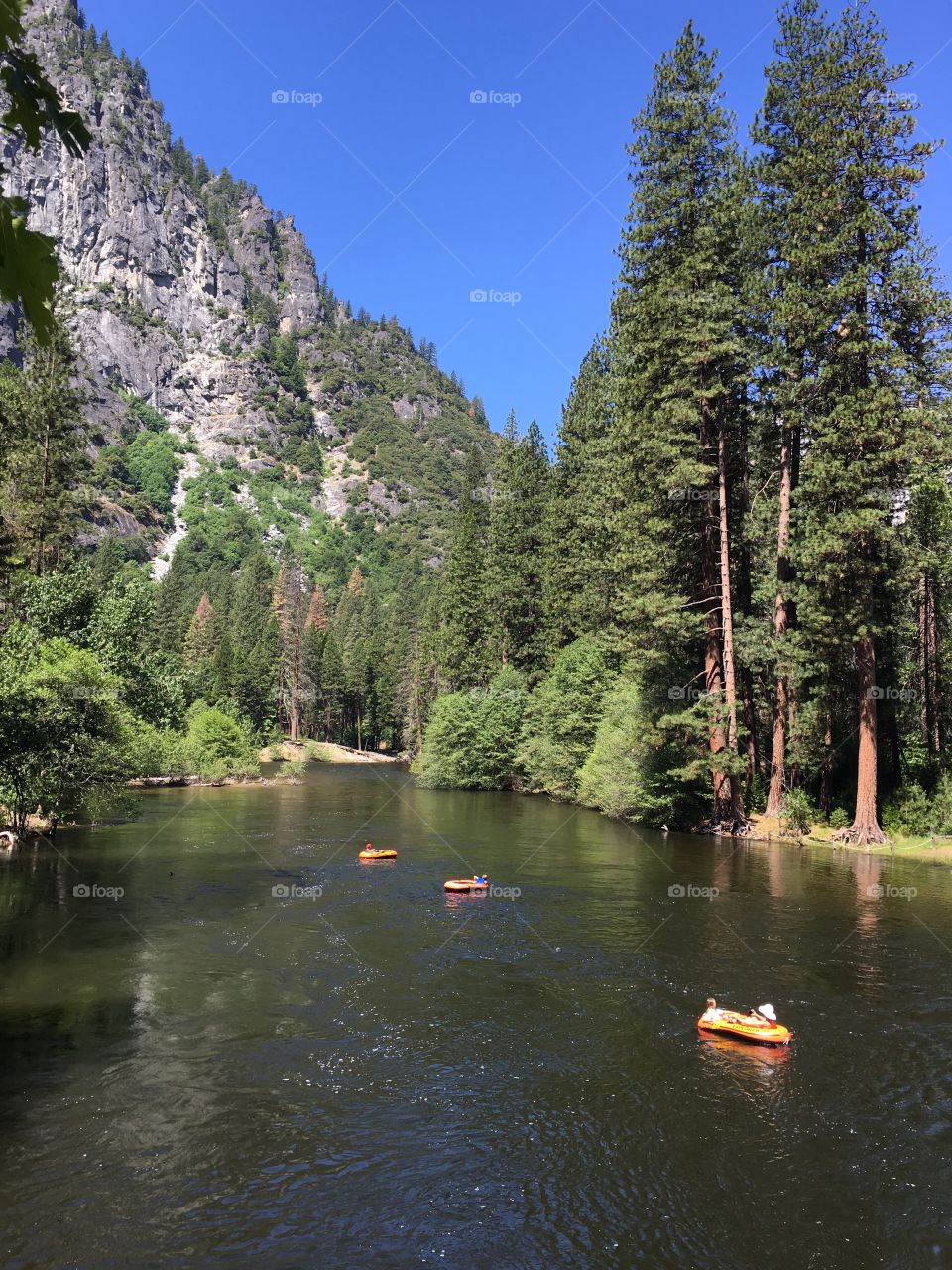 Rafters floating down the merced river at yosemite national park