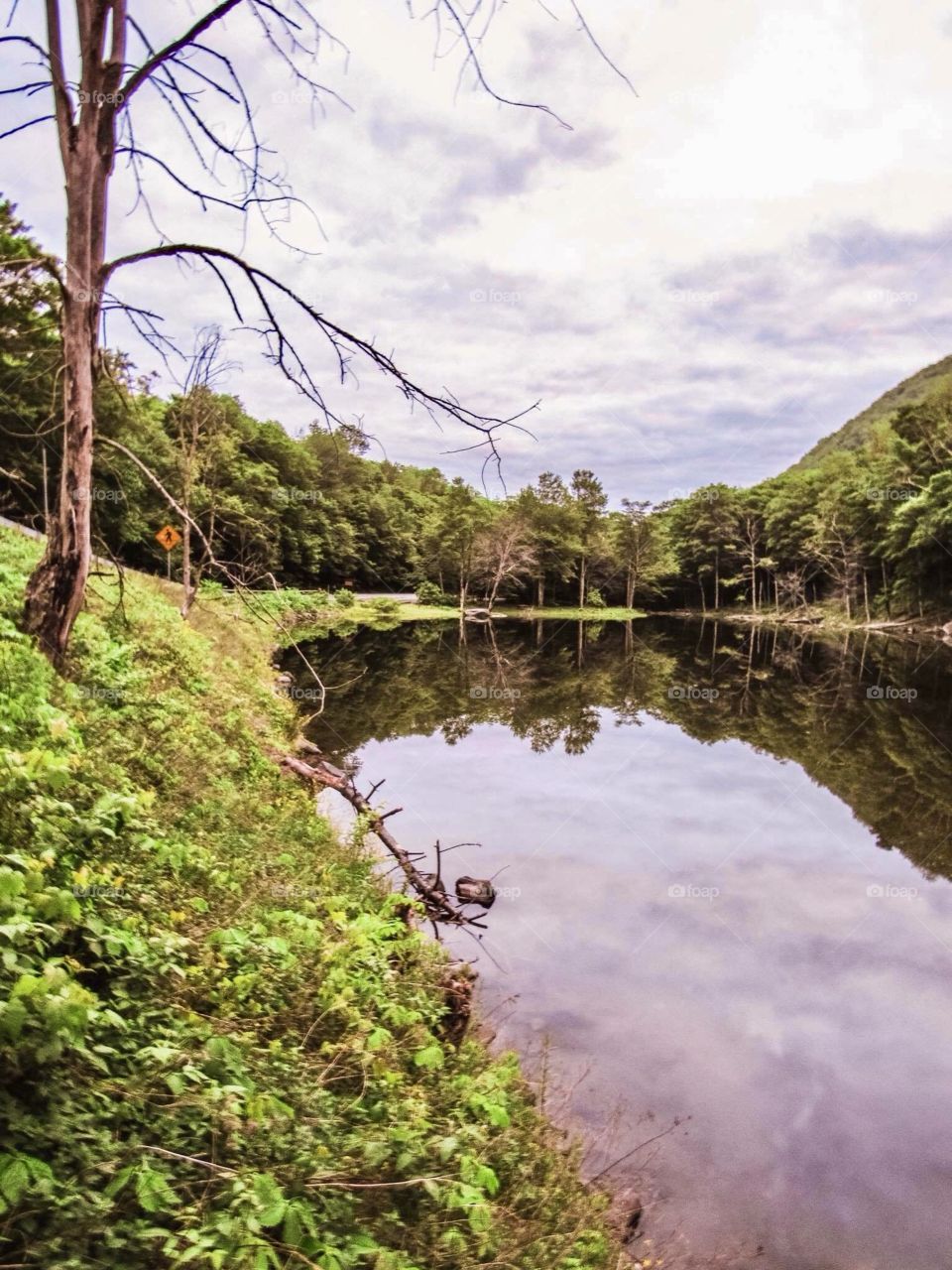 Devils Tombstone New York, wildlife, lake, grass, nature, landscape, peaceful, road, clear water, water, like mirror, trees, mountains,