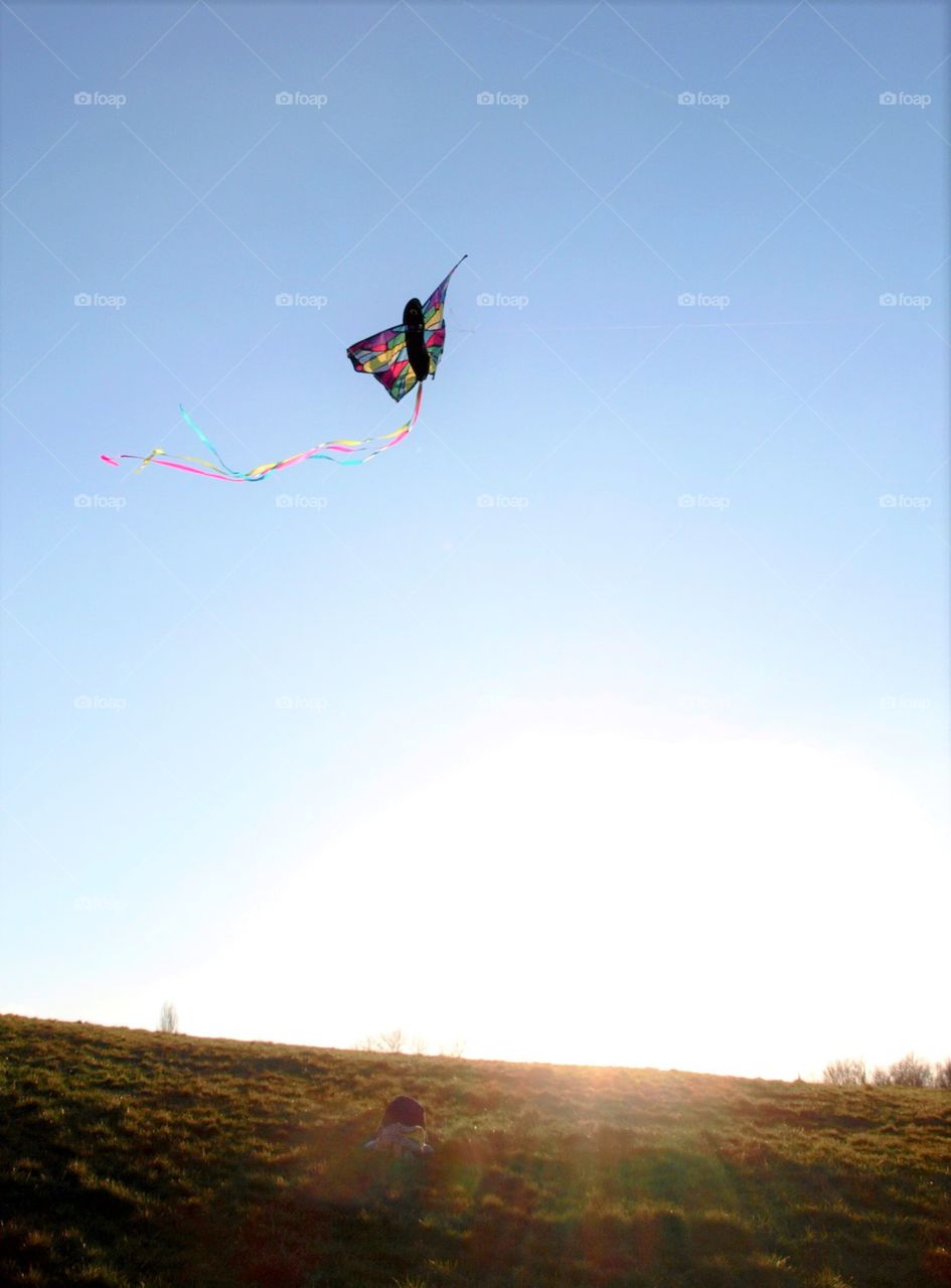 Flying a kite on Hampstead Heath on a sunny evening 