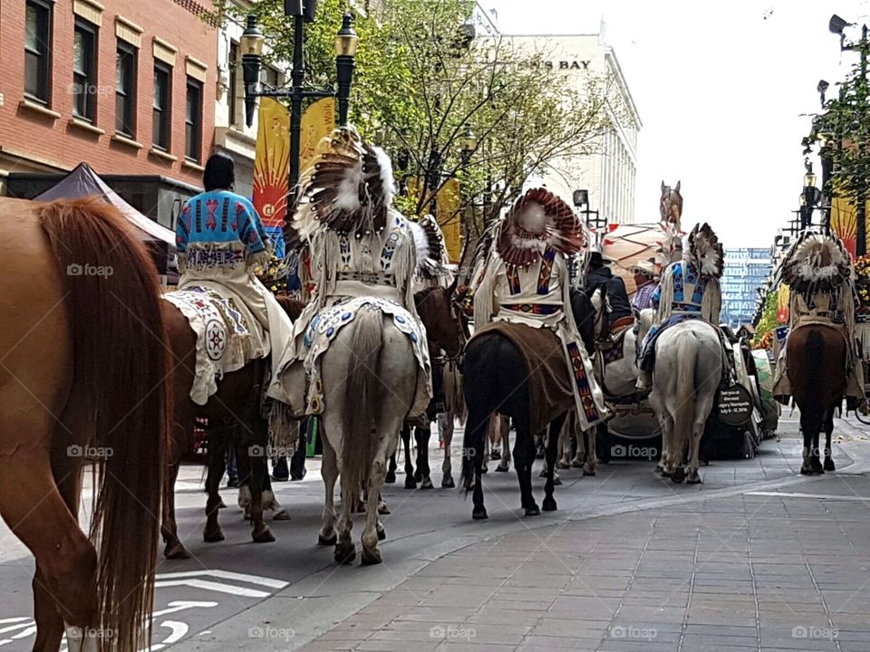 Calgary stampede parade First Nations chief