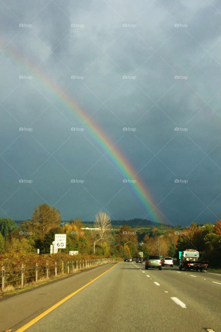 rainbow544