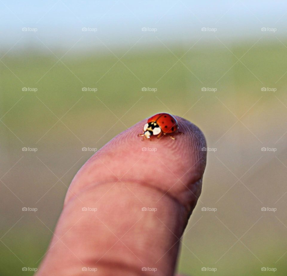 Getting in touch with nature In the city of Sacramento California