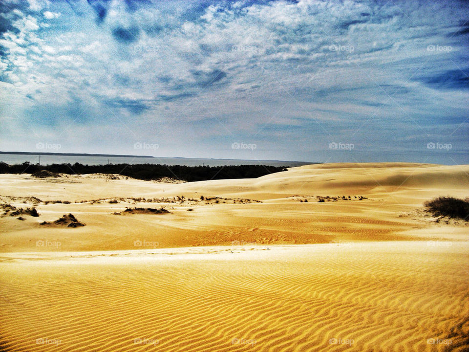 dunes of the Outer Banks