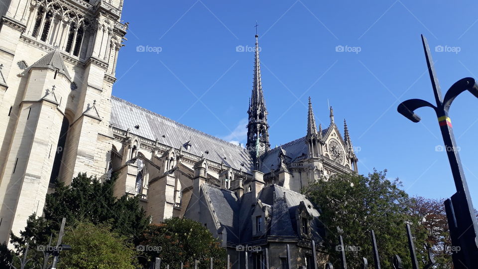 Catredal de Notre Dame. Paris