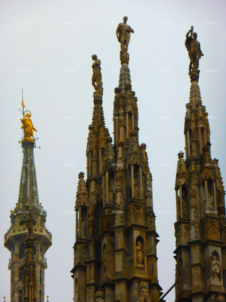 the Madonna of Milan Cathedral and other statue in the roof