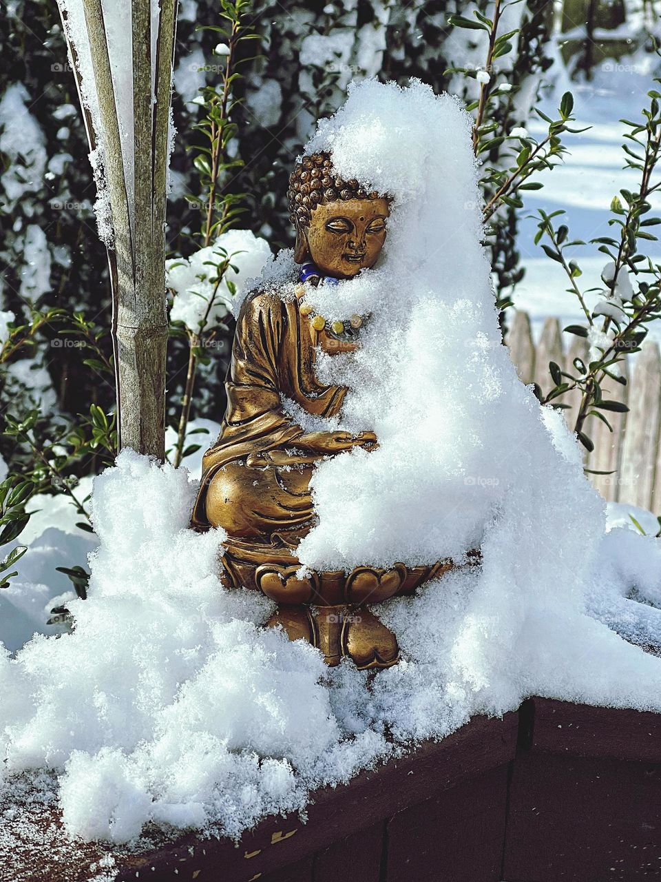 A statue of Buddha covered in snow in my back garden 