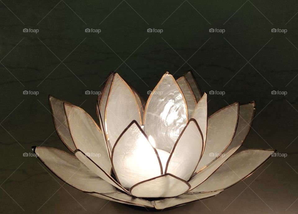 Lotus, white lotus, flower has many petals and this is artificial model for lotus flowers.