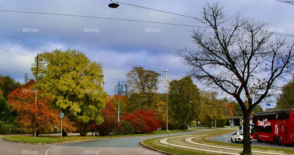 Beautiful autumn foliage in the city of Helsinki, Finland