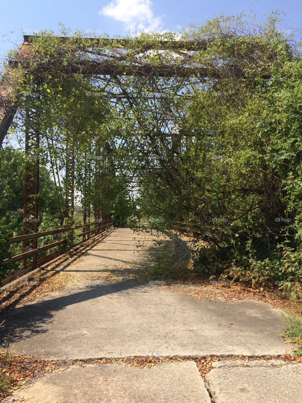 Abandoned highway bridge