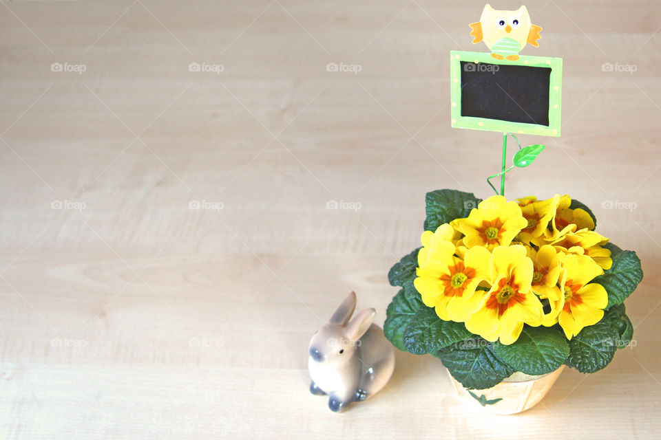 easter bunny and primrose with a little chalkboard for text