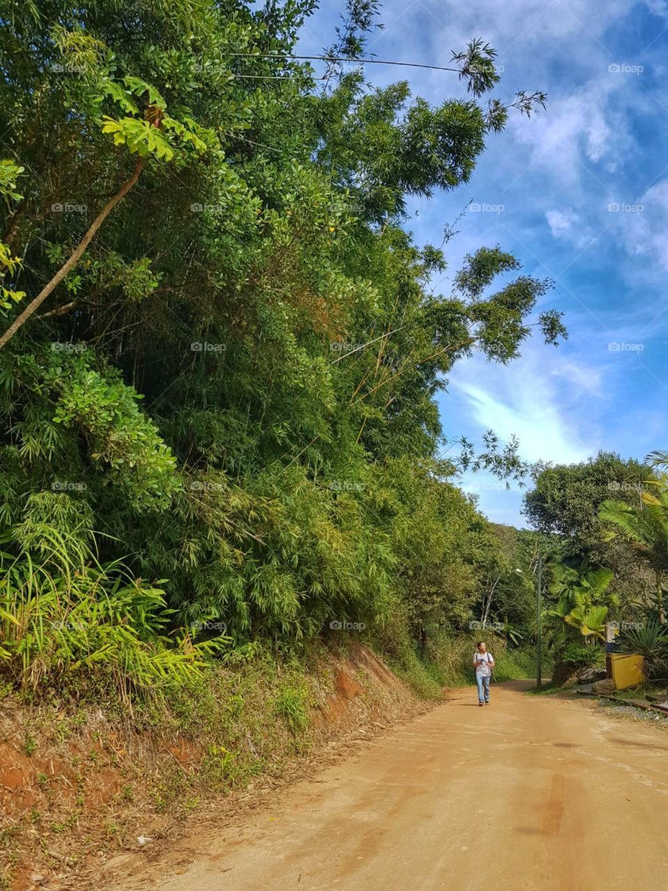 The traveler walks along the road among the green Brazilian forest. The sun, the heat and the sky.