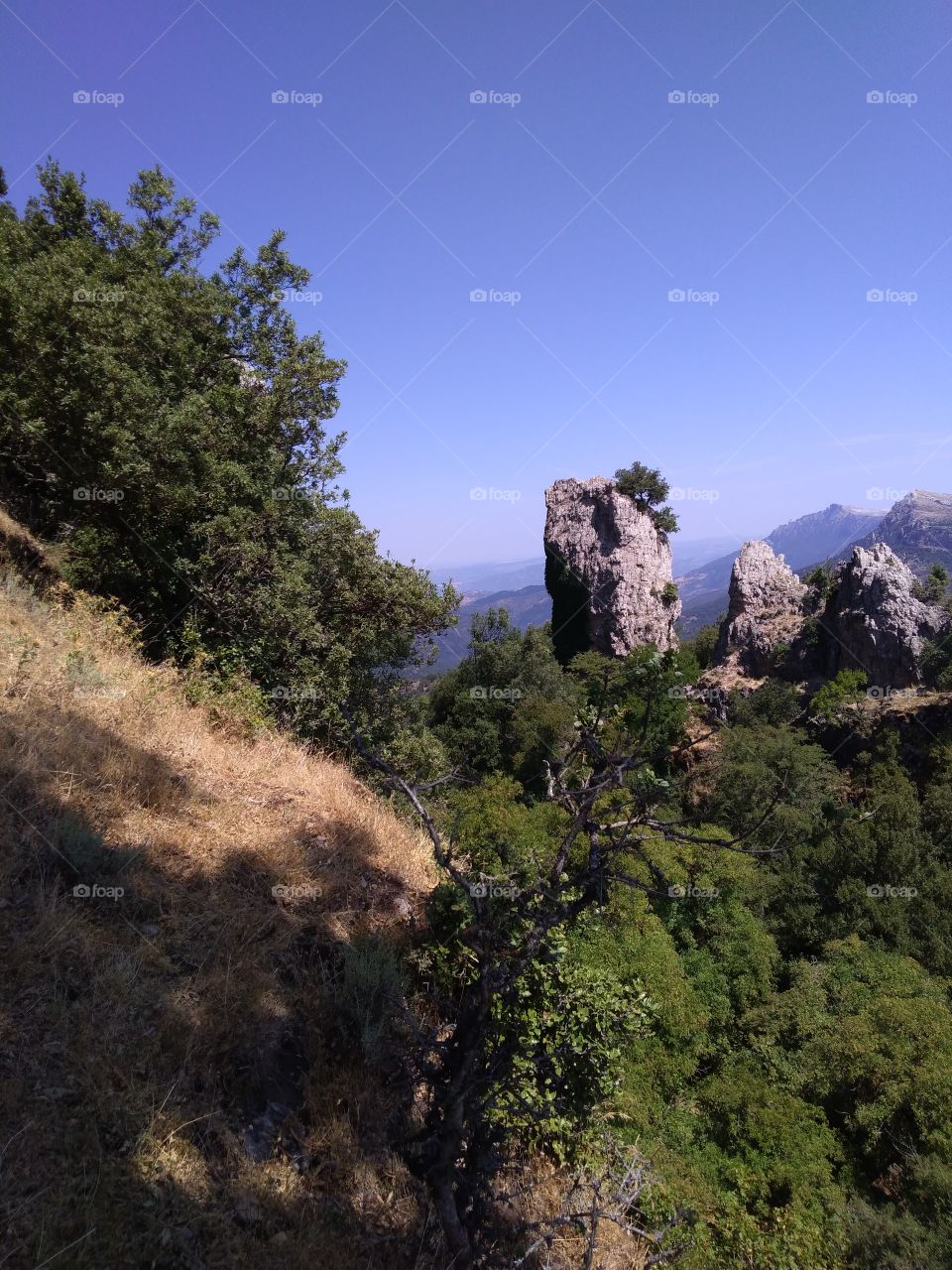 Going up to Monte Novo, Orgosolo