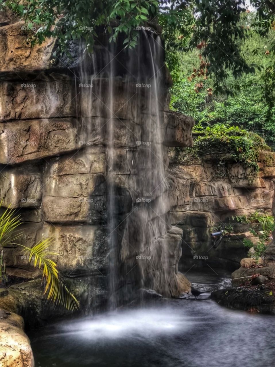 Beautiful waterfall at the San Antonio Zoo in San Antonio, Texas. 