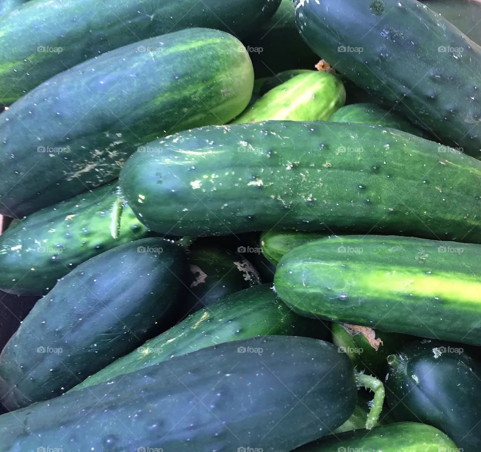 Cukes
