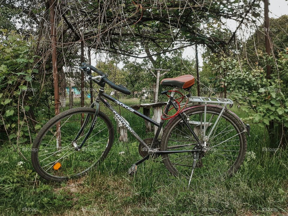 A sporty black bicycle stands near a home vineyard