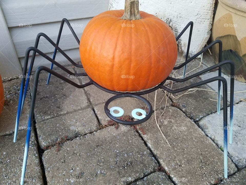 pumpkin spider