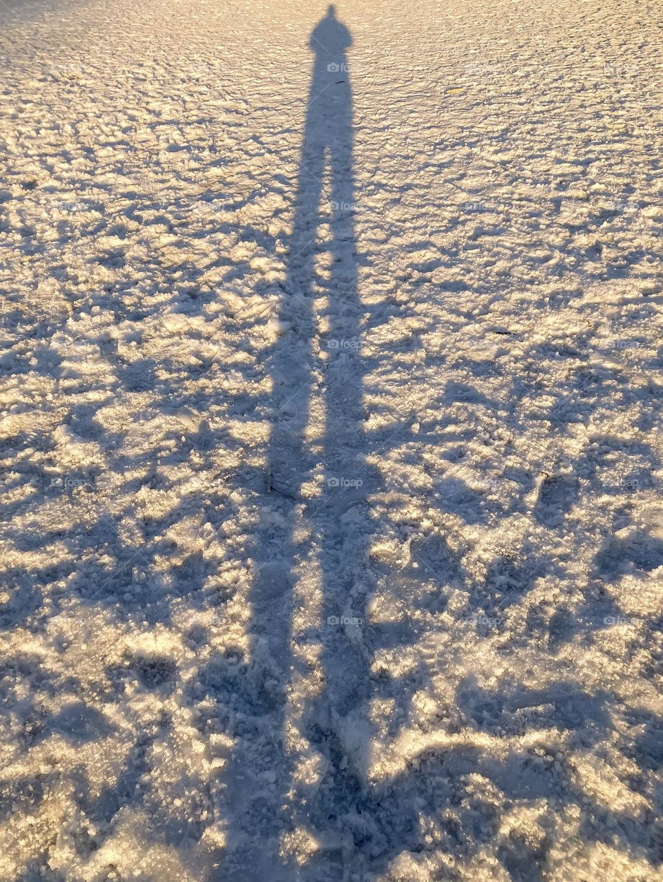 By the ocean, on a cloud or just crusty snow?