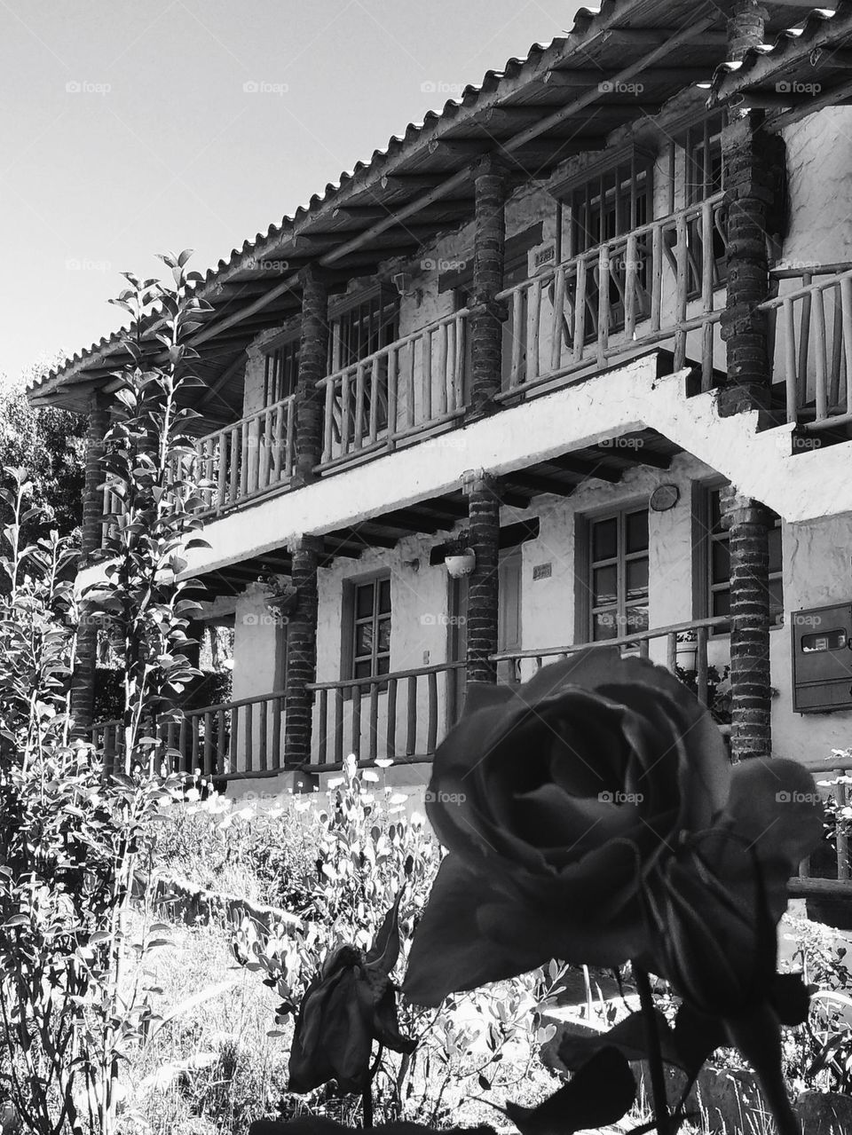 beautiful architecture