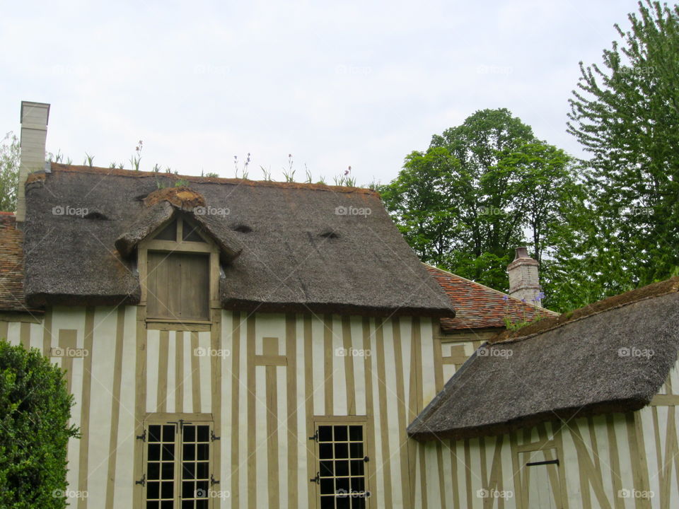 Roof garden