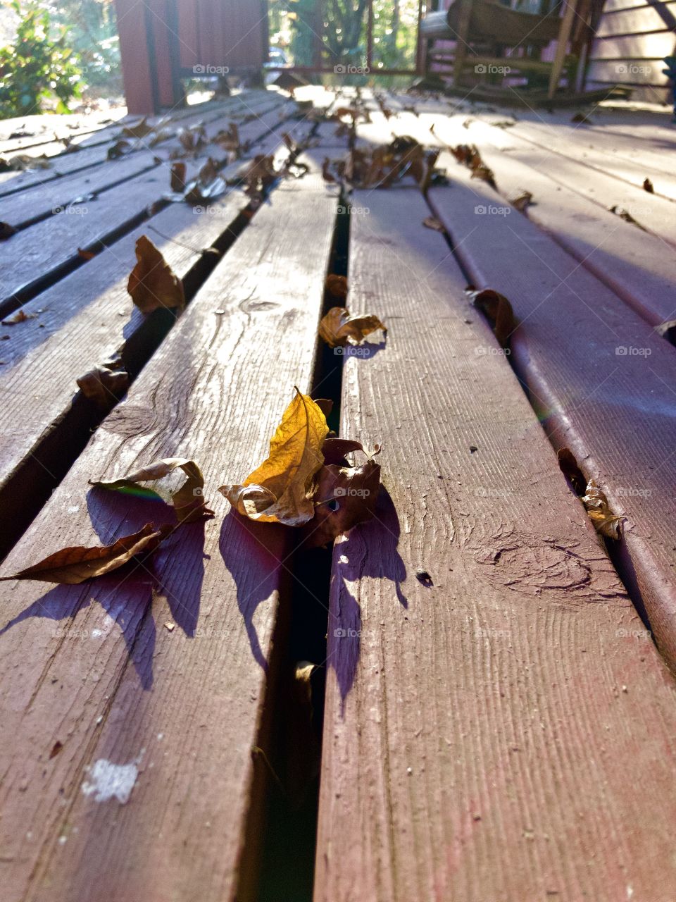 Dry autumn leaves on plank floor 