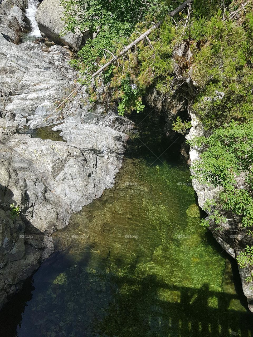 Fraicheur en été : rivière de montagne