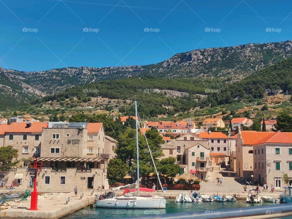 Nature is beautiful ❤️❤️