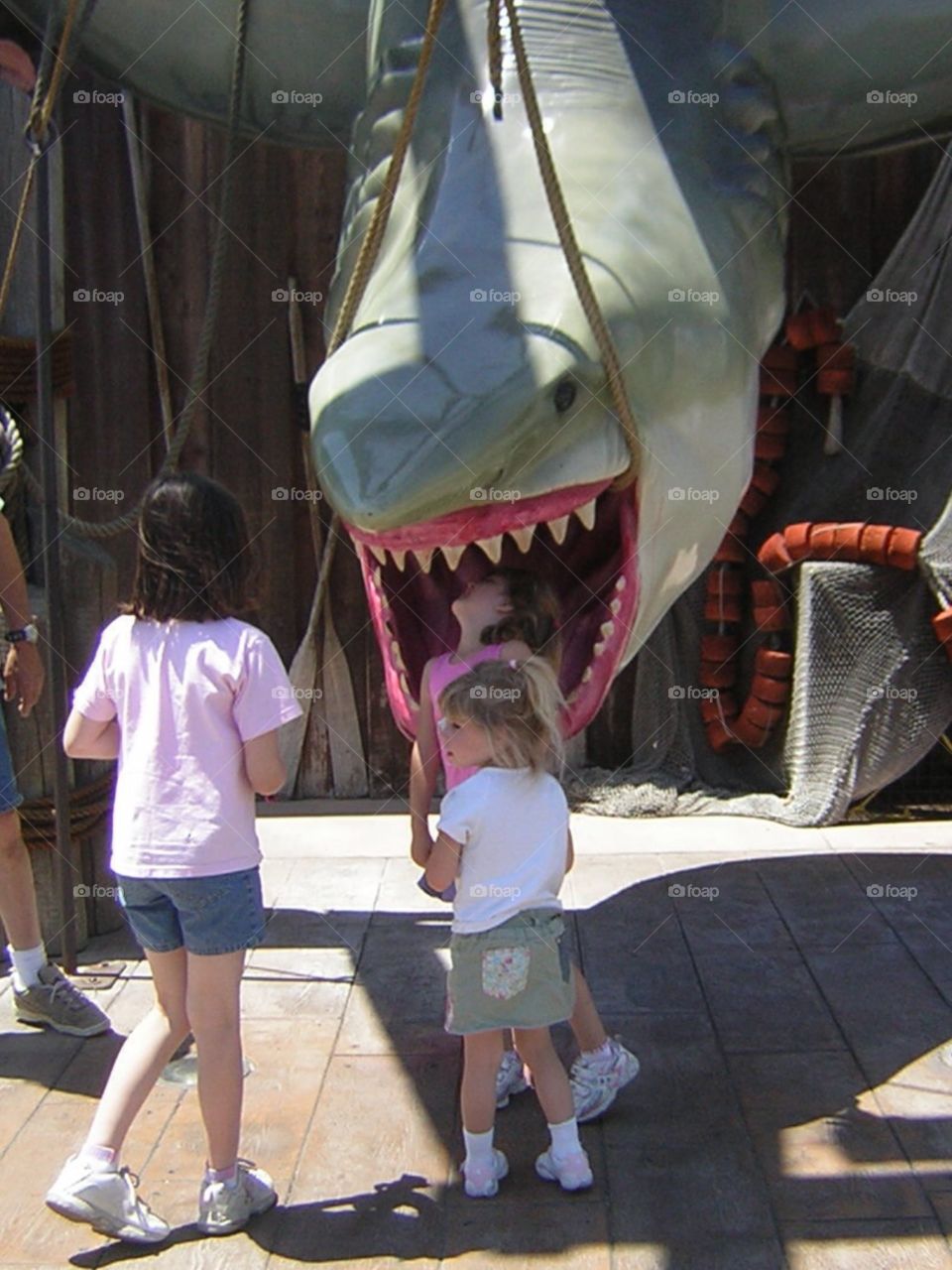 Shark eating child