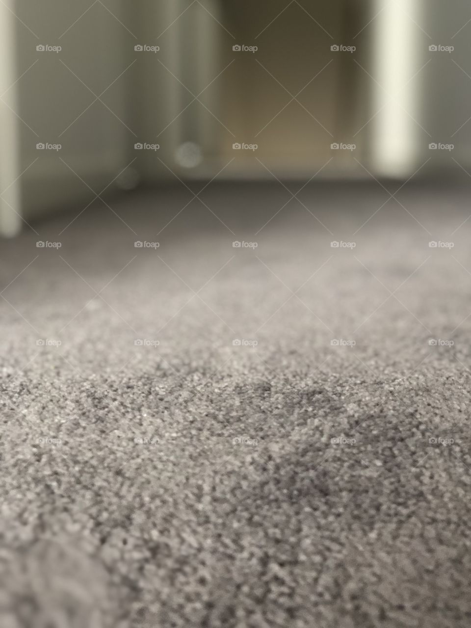 This shows some carpet that has a big blur in the background shows the fluffy texture.