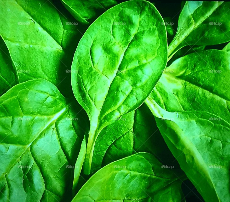 Spinach