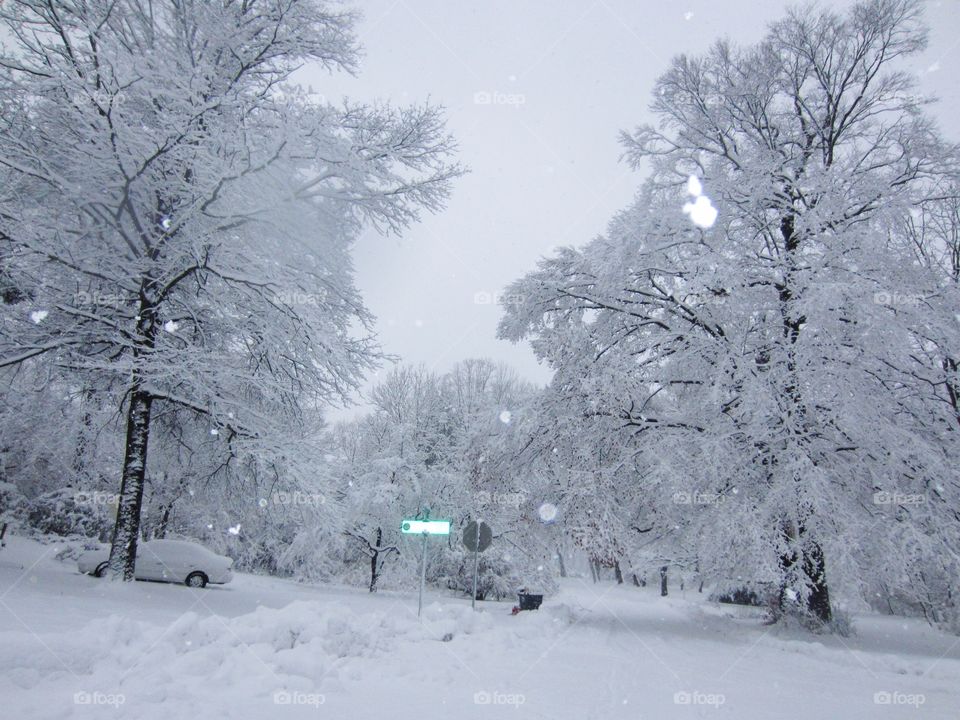Snow Snow and More Snow