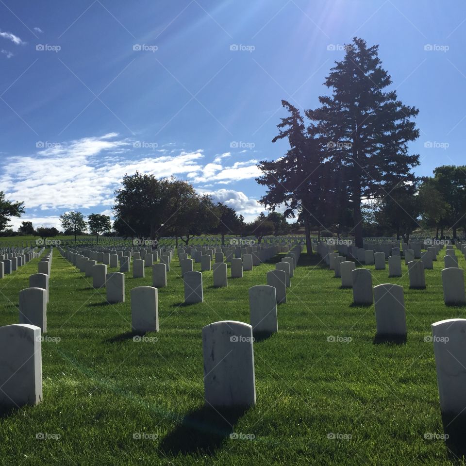 Row of gravestones in cemetery