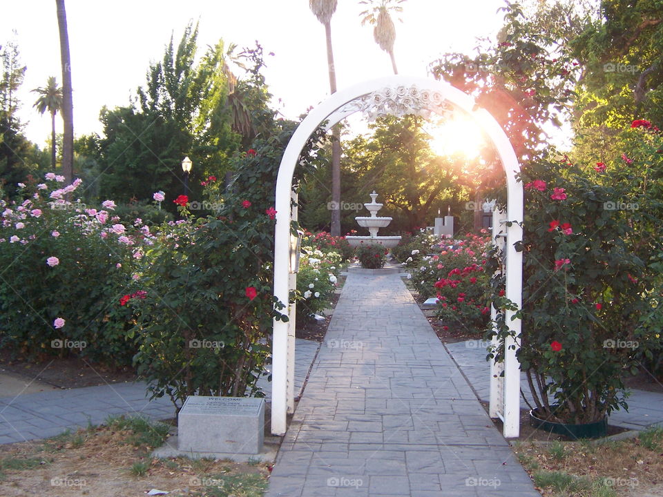 Archway sunset. Taking a walk through the capital garden