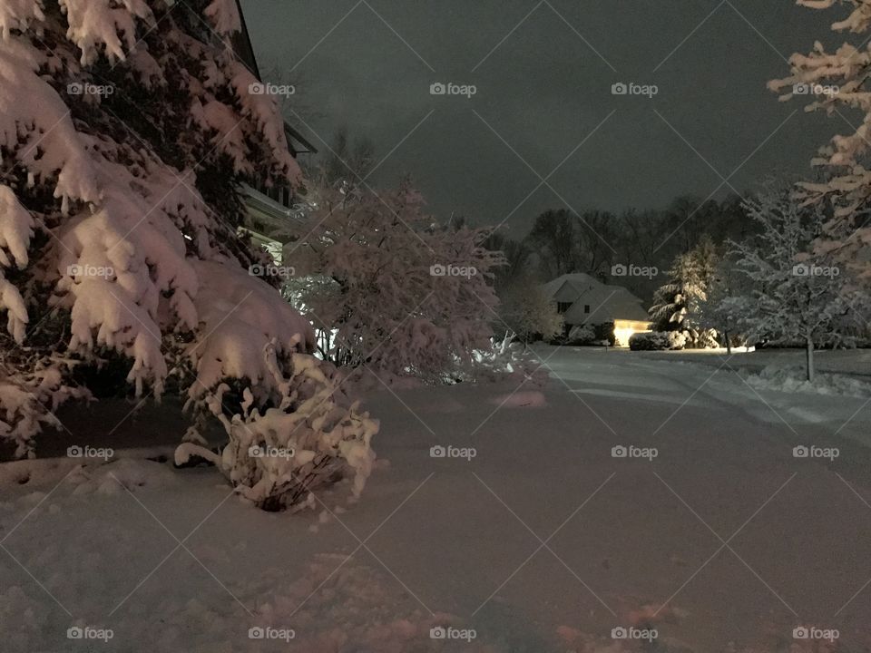 Picturesque view at night during a snow storm. 