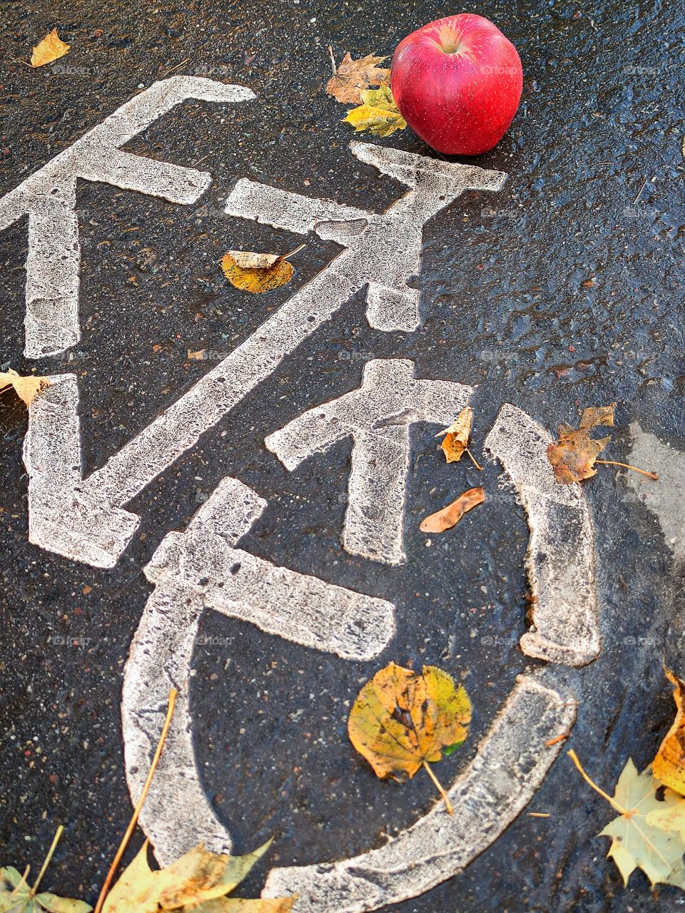 Autumn.  There is a white bicycle sign painted on the asphalt.  There is a red apple on the cushion of the bicycle.  Colorful autumn leaves lie around